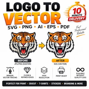 Logo to Vector, SVG & PNG Conversion | Image to Vector Tracing | Custom Logo Redraw