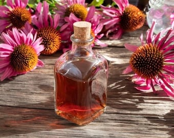 Echinacea Immune Tincture, Herbal Immune Support
