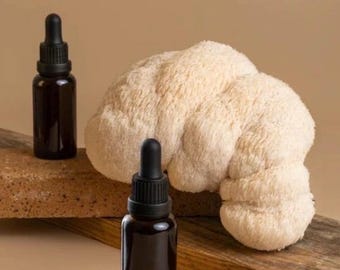 Lions Mane Double Extracted Tincture
