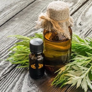 Mugwort Tincture