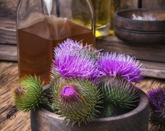 Mariendistel-Tinktur