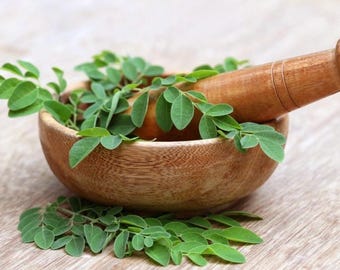 Moringa Salve
