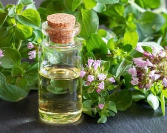 Organic Oil of Oregano
