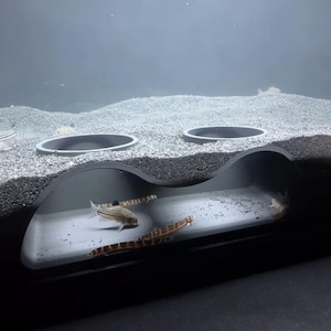 Fish cave hide underground aquarium