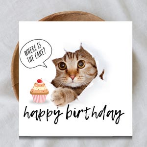 Funny Cat Birthday Card Printable | Cute Cat Meme Birthday Card | Funny Animal Birthday Card for Her or Him | Digital birthday Card