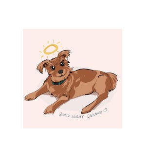Custom Memorial Pet Portrait, Passed Pet Illustration, Loss gift grief, Sentimental Gift, Lost Pet Memorial, Personalized Pet Lover Portrait