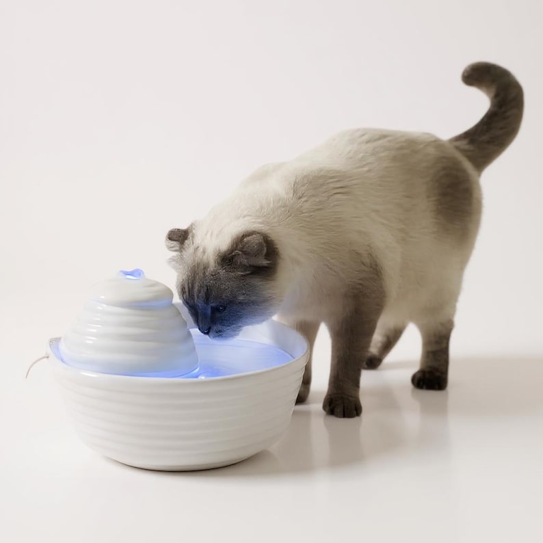 May include: A white ceramic pet water fountain with a tiered design and a blue LED light. A light-colored cat with grey markings is drinking from the fountain. The fountain has a round base and a textured surface.