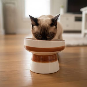 Comedero elevado para gatos: comedero elevado de cerámica, plato artesanal para mascotas, apto para bigotes. imagen 1