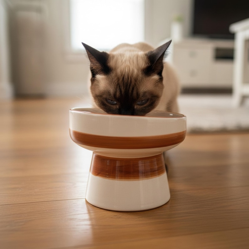Comedero elevado para gatos: comedero elevado de cerámica, plato artesanal para mascotas, apto para bigotes. imagen 1