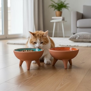 Puede incluir: Dos cuencos para mascotas de color terracota con interiores turquesa y naranja, cada uno sostenido por tres patas pequeñas. Un cuenco contiene comida seca para mascotas. Un gato jengibre y blanco se sienta entre los cuencos.