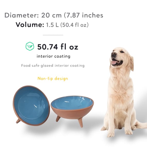 Elevated Ceramic Dog Bowl – Non-slip Feeding Dish for Dogs