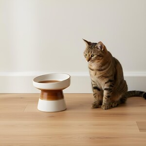 Comedero elevado para gatos: comedero elevado de cerámica, plato artesanal para mascotas, apto para bigotes. imagen 18