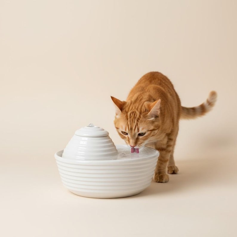 May include: A white ceramic pet water fountain with a tiered design. An ginger tabby cat drinks from the fountain. The fountain has a round base and a smaller, conical top. The cat has orange fur with darker stripes.