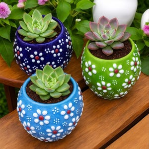 Hand-Painted Mini Succulent & Cactus Pot - Daisy Flower Design Planter
