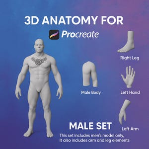 Procreate 3D object models, 3D man model, 3D arm model, 3D leg model, 3D torso, procreate 3D human body, model tattoo