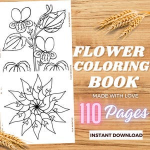 110 wunderschöne Blumen Malseiten, Malseiten für Erwachsene, Malbuch für Erwachsene, Malseiten für Erwachsene, Malseiten für Kinder, 3 Buchumschlag