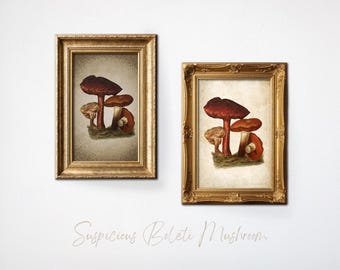 Mori Kei, Whimsigoth Decor, Fall Hosting Decor, Oddities, Goblincore, Enchanted Forest, Weirdcore, Woodland Nursery, Mushroom, Forestcore