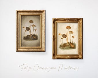 Mori Kei, Whimsigoth Decor, Fall Hosting Decor, Oddities, Goblincore, Enchanted Forest, Weirdcore, Forestcore, Woodland Nursery, Mushroom