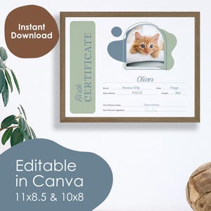 Bewerkbare sjabloon geboorteakte kitten, geboorteakte groene kat canva, adoptie huisdier, aanpasbare canvas sjabloon, Instant Download