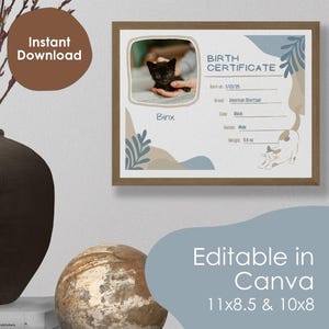 Bewerkbare sjabloon geboorteakte kitten, geboorteakte Blue Cat Canva, adoptie van huisdieren, aanpasbare Canva-sjabloon, Instant Download