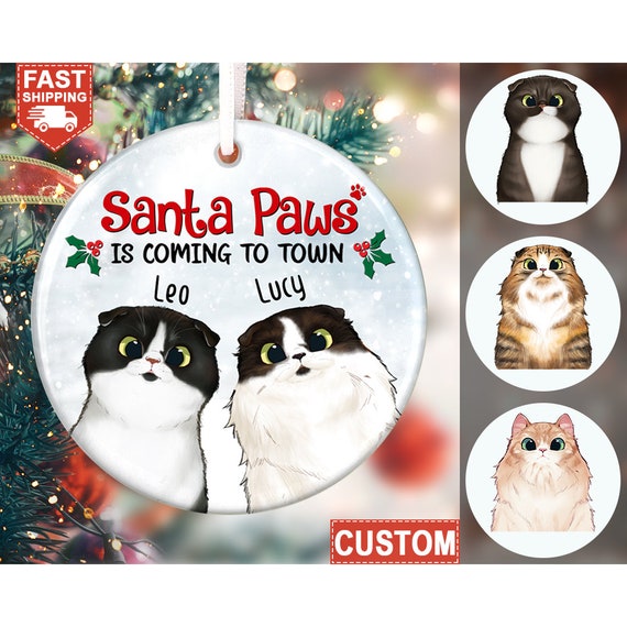 santa paws cat