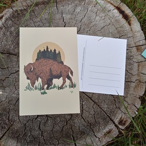 Cartão postal de árvores de búfalo 4x6