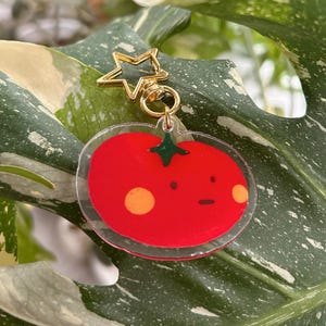 May include: A clear acrylic keychain featuring a cartoon tomato design with a gold star-shaped clasp. The tomato is red with two orange spots and a green stem. The keychain hangs against a backdrop of green and white leaves.