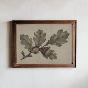 May include: A framed botanical print featuring an oak branch with detailed leaves and two acorns. The artwork is rendered in muted green and brown tones, set against a neutral background. The frame is a dark wood.