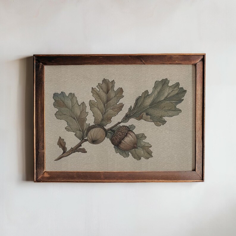 May include: A framed botanical print featuring an oak branch with detailed leaves and two acorns. The artwork is rendered in muted green and brown tones, set against a neutral background. The frame is a dark wood.
