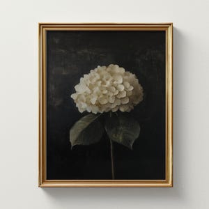 Könnte beinhalten: Ein gerahmter Druck einer weißen Hortensie mit grünen Blättern vor einem dunklen Hintergrund.