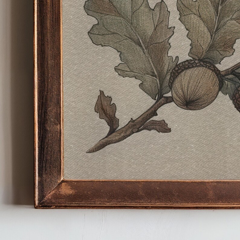 May include: A framed botanical print featuring a detailed illustration of oak leaves, acorns, and a branch. The artwork is rendered in shades of brown, green, and beige, with a rustic wooden frame. The print has a vintage aesthetic.