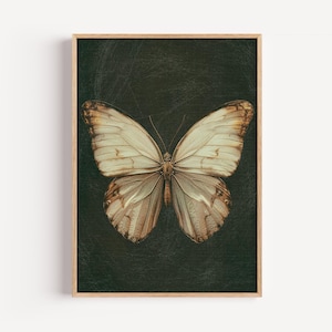 Vintage Schmetterling DRUCKBARE Wandkunst, antike Insekt Illustration, botanische Fehler Druck, dunkle Academia digitaler Download, natürliche Dekor | 58