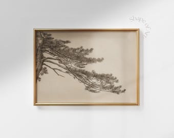 Japanischer Kieferzweig Kunstdruck: Zen Illustration (digitaler Download)