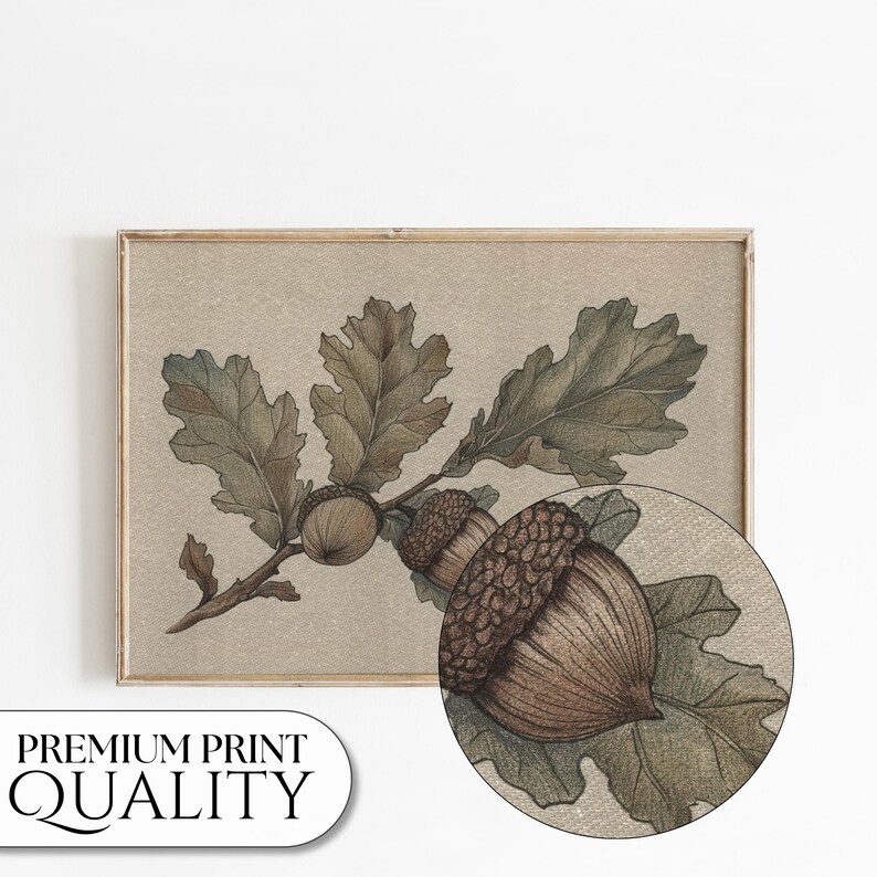 May include: A framed print featuring a detailed botanical illustration of oak leaves and acorns in shades of brown, green, and beige. The artwork has a vintage aesthetic, with a close-up view of the acorns. The text "PREMIUM PRINT QUALITY" is visible.