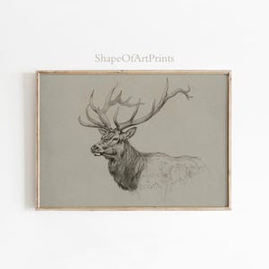Dibujo rústico de cabeza de alce, arte de vida silvestre en blanco y negro (descarga imprimible)
