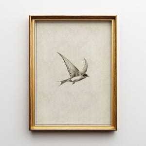 Lámina de golondrina vintage: Arte minimalista para pared infantil (descarga digital)