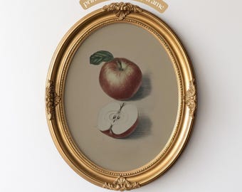 Vintage Apple Botanical Print: Rustic Kitchen Wall Art (Digital Download)