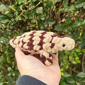 May include: A handmade crochet turtle in shades of beige and burgundy. The turtle has a textured, patterned shell and small, dark eyes. The plush toy is held in a hand against a backdrop of green foliage.