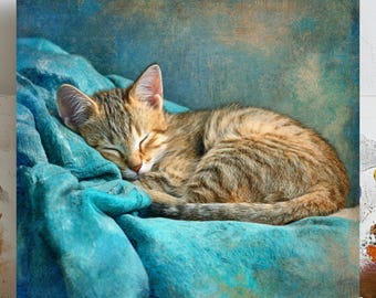 Cute Sleeping Cat Artwork, Canvas Or Poster, Nursery Wall Decor, Kids Room Cat Art, Whimsical Animal Illustration, Home Decor, Cat Painting