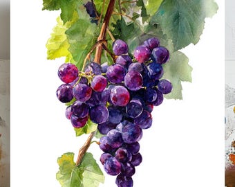 Grapes Wall Art, Canvas Or Poster, Kitchen Decor, Dining Room Decor, Fruit Wall Art, Rustic Wall Hanging, Vineyard Art, Grape Artwork