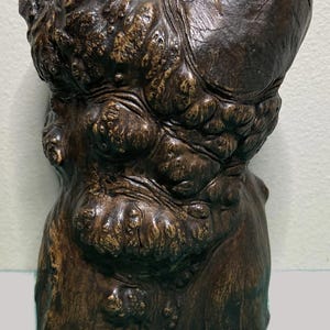 Puede incluir: Una escultura de color marrón oscuro, de forma orgánica, con una superficie rugosa y texturizada. La pieza tiene una forma bulbosa con numerosas protuberancias redondeadas y una parte superior lisa y abierta. La apariencia de madera sugiere un artículo natural y artesanal.