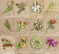 Birth Month Flower Brooch, Birthday Flower Brooch, Personalized Birth Flower Pins,  Funeral Gift, Sympathy Gift, Memorial Gift, Floral Pins