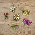 Birthday Flower Brooch, Personalized Birth Flower Pins, Handmade Flower Brooch, Vintage Brooch, Wedding Brooch, Birthday Gift for Her