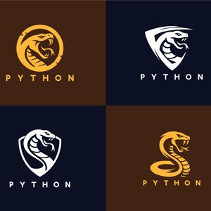 Python Custom Logo Design | Professional Branding for Businesses ...