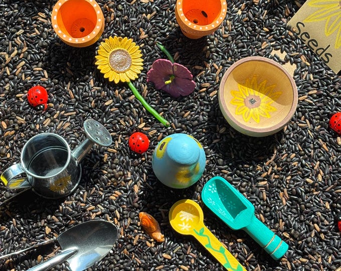 Seed To Flower - A Book Based Sensory Bin