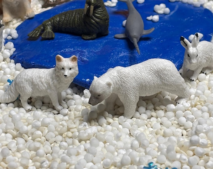 Arctic Animals - A book inspired sensory bin