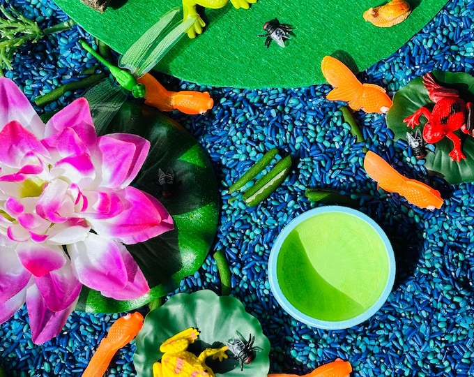 Frog Lifecycle Sensory Bin - Book Inspired
