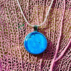 Pet cremation pendant, ashes jewelry, pet memorial jewelry, cat pendant, dog pendant