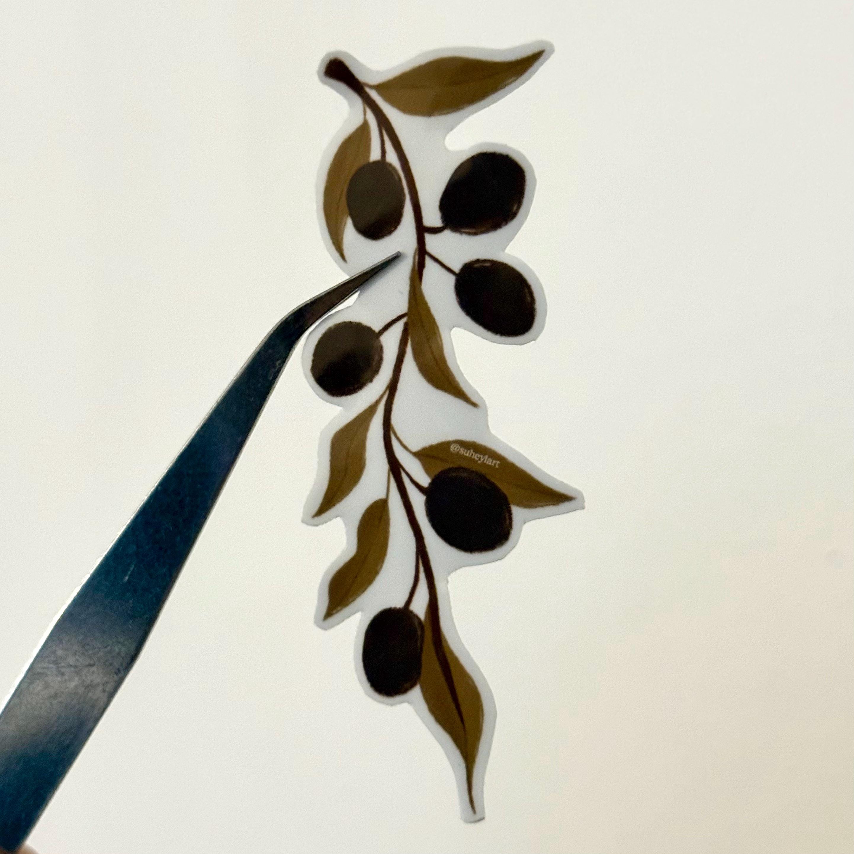 Draw Olive Sticker Olive Branch Sticker – Minimalist Botanical | Laptop & Journal Stickers ...