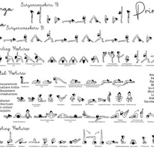 May include: A black and white illustration of the Ashtanga Yoga Primary Series, showing the poses in order. The poses are labelled with their Sanskrit names. The text "Primary Series" is written in large letters at the top of the image. The text "Om Shanti, Shanti, Shanti" is written at the bottom of the image.